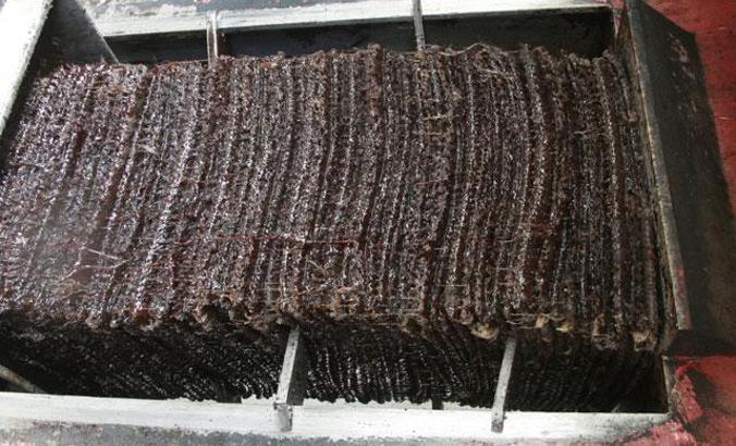 Asırlardır geleneksel yöntemlerle zeytinyağı üretiyorlar