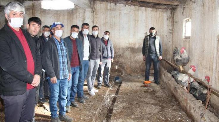 Erzurum'da dolandırılan 30 besicinin ahırında, horoz ve tavuklar kaldı