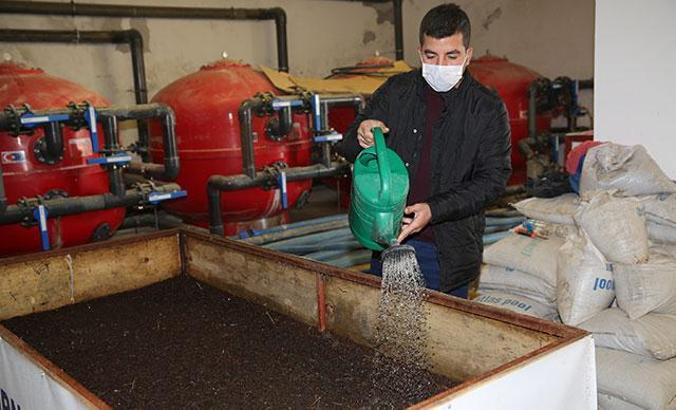 Günde 1 saat çalışarak ayda 3 ton solucan gübresi üretiyor