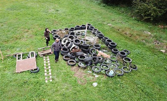 Yetenekli sokak köpeklerini zor görevler için eğitiyor