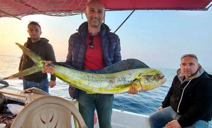 Okyanus balığı 15 kiloluk lambuka, Kuşadası'nda yakalandı