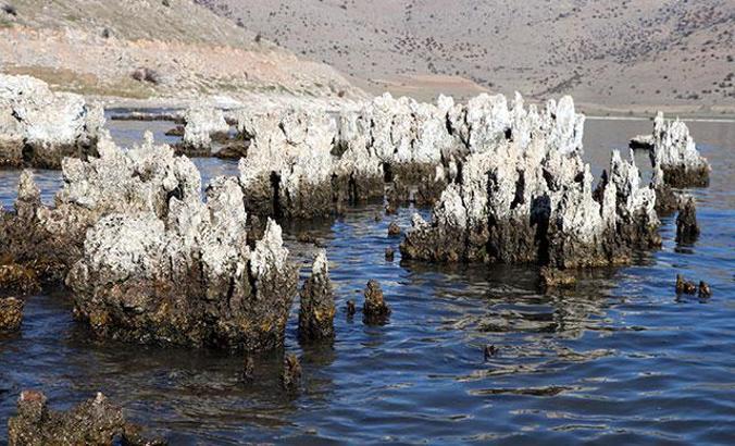 Van Gölü çekilince dünyanın en büyük mikrobiyalitleri gün yüzüne çıktı