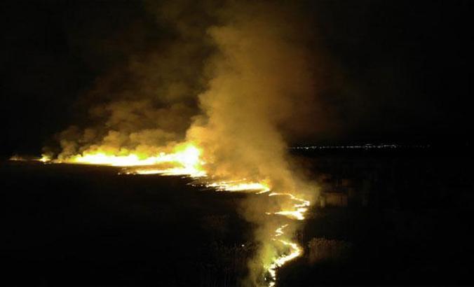 Eber Gölü'nün iki ayrı noktasında sazlık yangını çıktı