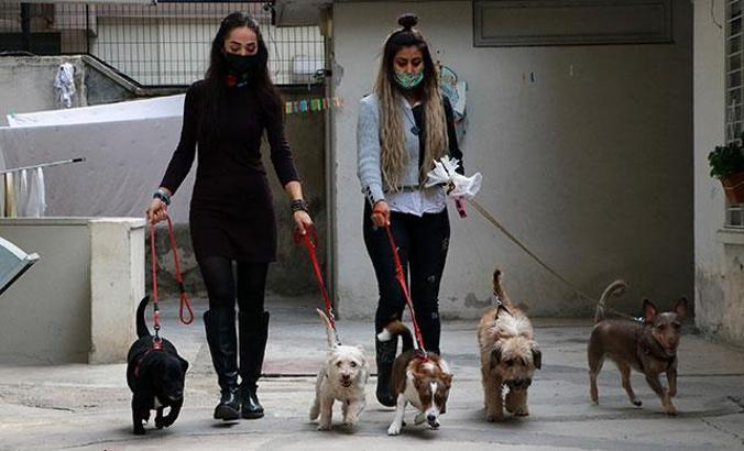 Pandemi dönemi hayvan sahiplenme yüzde yüz arttı, 'sokağa bırakmayın' uyarısı yapıldı