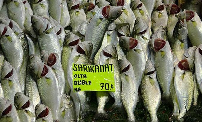 Çanakkale'de restoranlar kapalı, balık fiyatları düşük