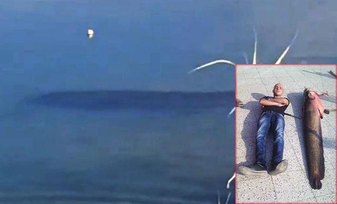 Tödürge Gölü'ndeki dev yayın balıkları kuşları ürküttü