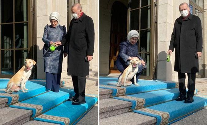 Cumhurbaşkanı Erdoğan'ı mesaiye ''Leblebi'' uğurladı
