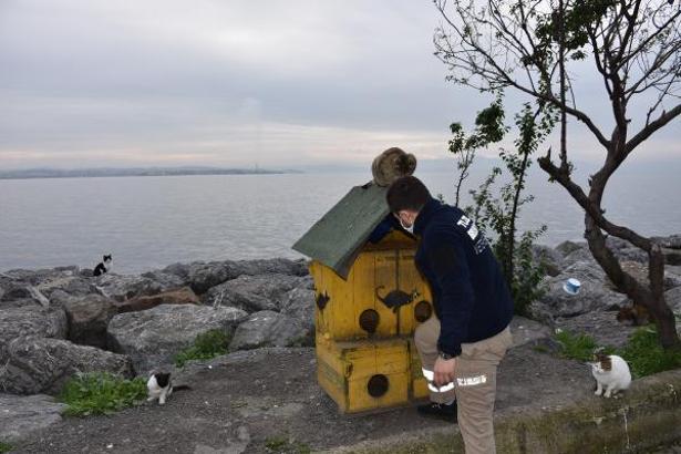 Sokak hayvanları için mama ve su dağıttılar