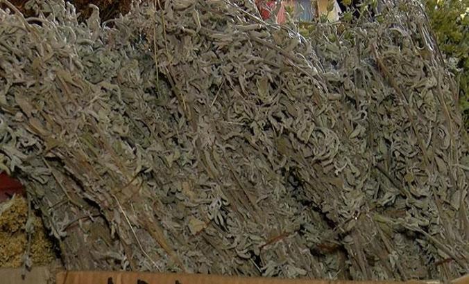 Ada çayının Covid-19'a karşı etkinliği Almanya'da kanıtlandı