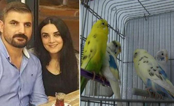 Avukat, eşi ve stajyerinin öldüğü doğal gaz faciasında evdeki 4 muhabbet kuşu canlı bulunmuş