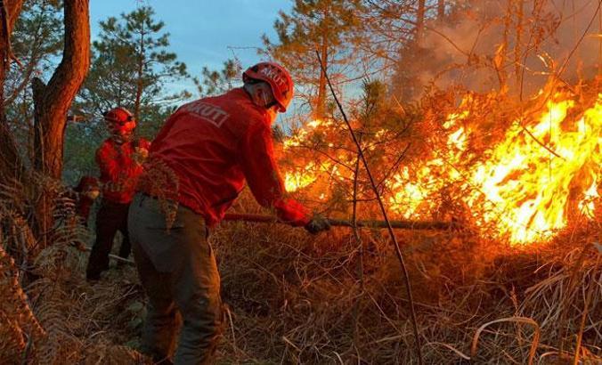 Karadeniz ormanlarında 'yangın' tehlikesi