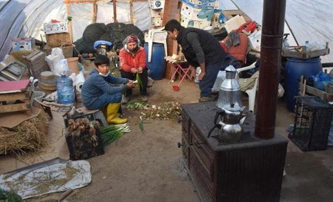 Edirne'de  don olayına karşı sobalı ve zirai örtülü önlem