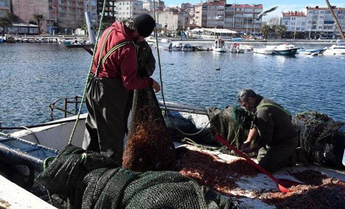'Marmara'daki deniz salyasına kirlilik ve deniz suyu sıcaklığı neden oluyor'