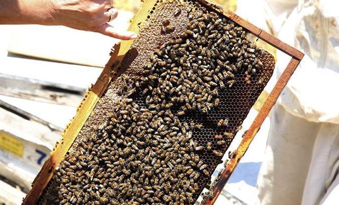 Sanal dünyanın koronavirüs hurafeleri; en çok bunlar arandı