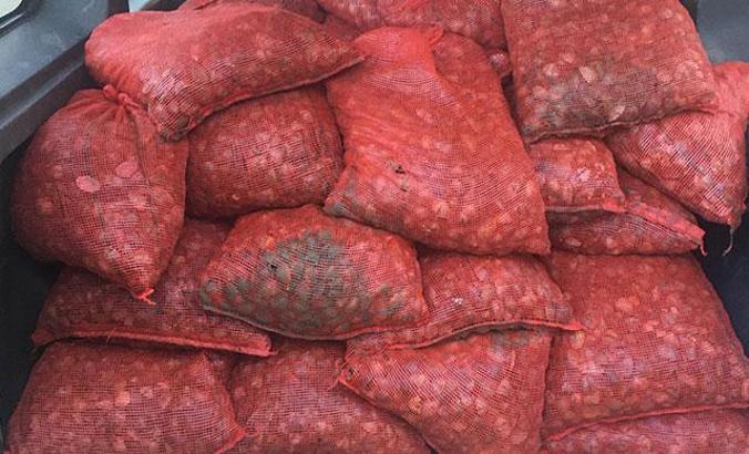 Edirne’de 1 ton kaçak midye ele geçirildi