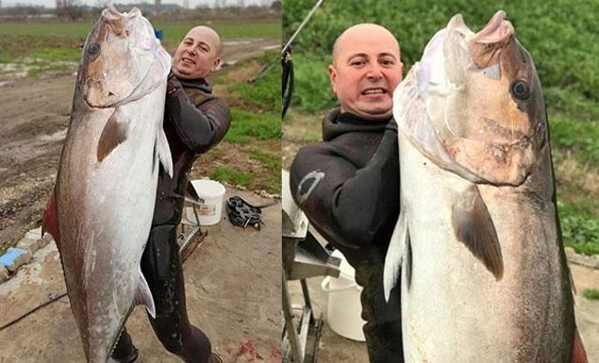 Zıpkınla 'Akdeniz'in Kuzusu' Akya balığı avladı