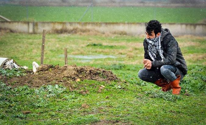 27 yıllık can yoldaşı 'Cınavır'ı mezarında da yalnız bırakmadı; Her gün mezarı başında gözyaşı döküyor