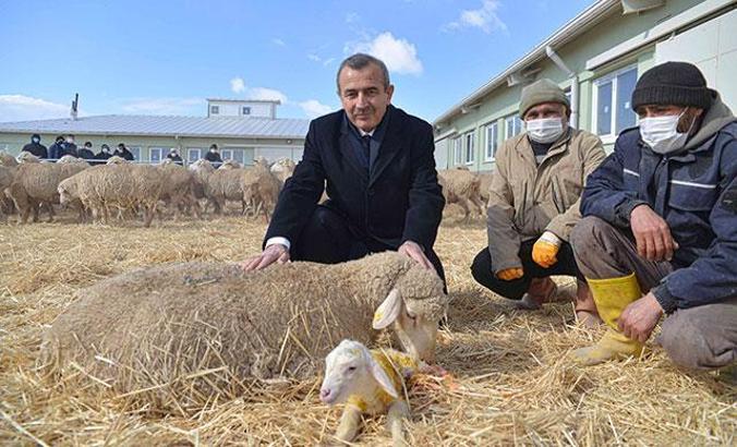 34 yıl her kademesinde görev yaptığı TİGEM'de genel müdür oldu