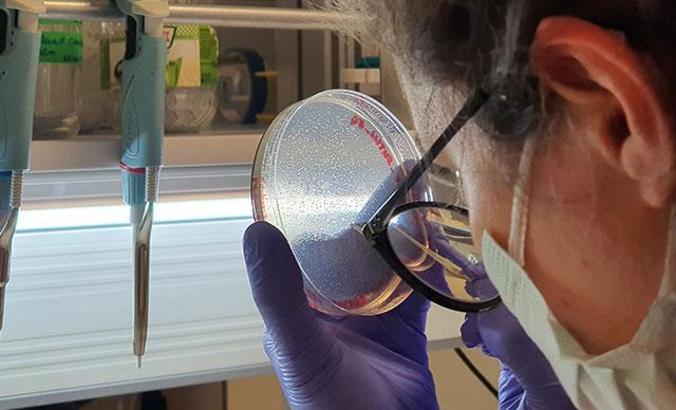 Aşı teknolojisinde devrim yaratacak “mikrokürecik aşısı”nda ilk insan deneyleri yaz başında