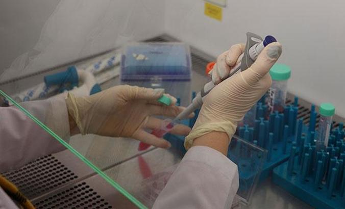 Laboratuvar ortamında üretilecek 'temiz et' için yerli formül