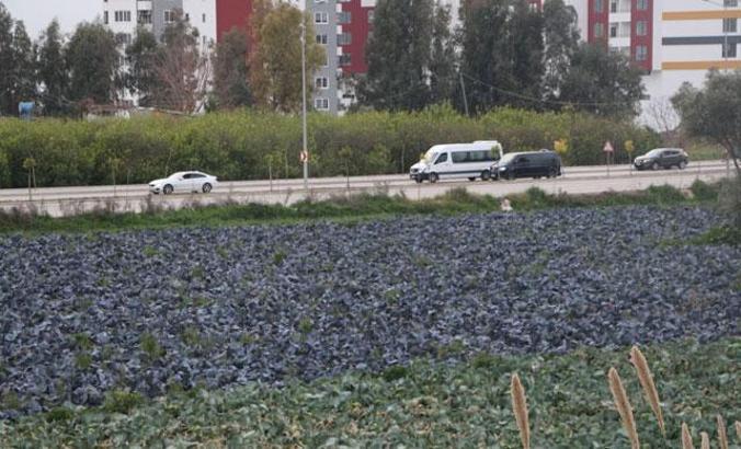 Yol kenarındaki arazilerde üretilen 'tarımsal' gıdalardaki tehlike