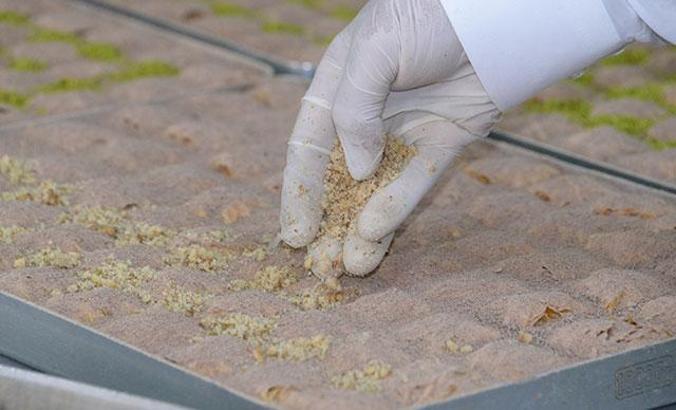 Diyarbakır'ın soğuk baklavası; siyaset, sanat ve spor dünyasının vazgeçilmezi