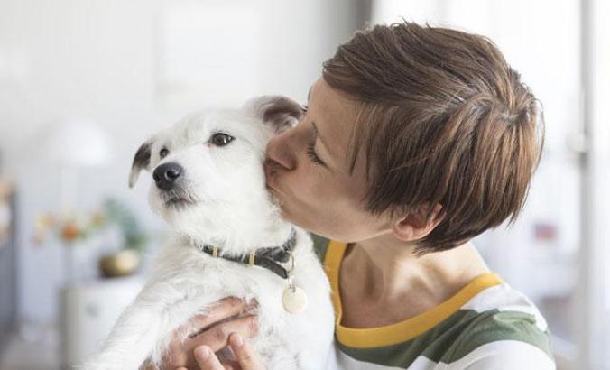 Evcil hayvan sahipleri, günlük yaşamlarında daha çok gülüyor