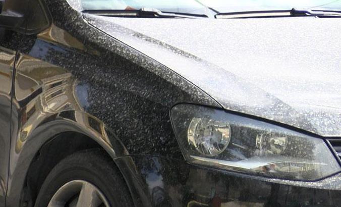 Hüseyin Toros: İstanbul'da çamur yağmurunun sebebi; Afrika çöl tozu