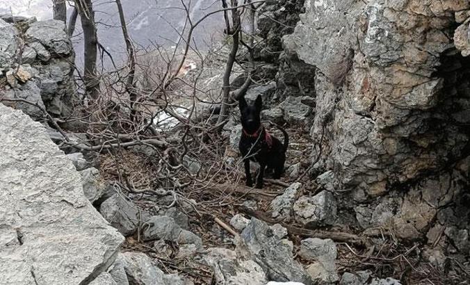 Bitlis'teki 'Eren-6' operasyonunda, basma düzenekli EYP imha edildi