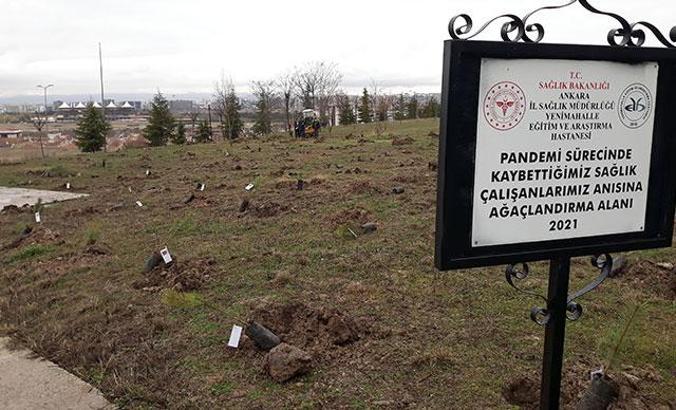 Ankara'da hayatını kaybeden sağlık çalışanları anısına fidan dikildi