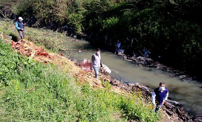 Dere yatağında çok sayıda at ve eşek kafasıyla kemikler bulundu