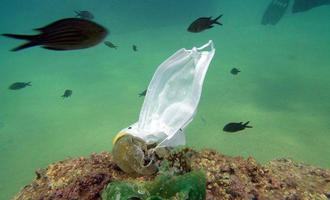 Su altı belgesellerini İngiltere'de çekecek