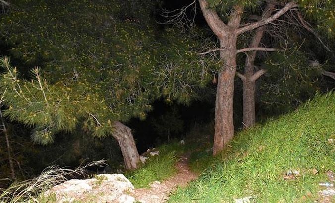 Ormanlık alandaki kafatası ve kemikleri, define arayan ikili bulmuş