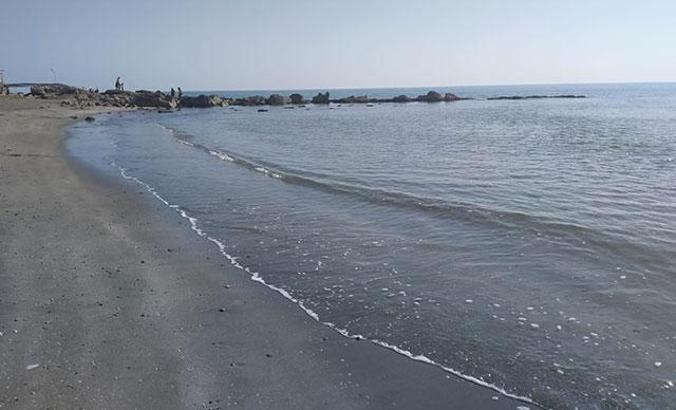 Doğal kirliliğin yaşandığı Karataş sahili temizlendi; Akyatan Lagünü açıldı