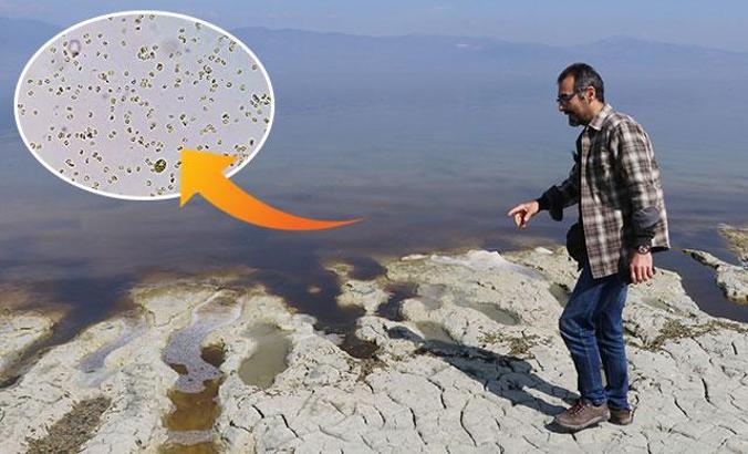 Yeşil alg patlaması, Burdur Gölü'nün rengini değiştirdi
