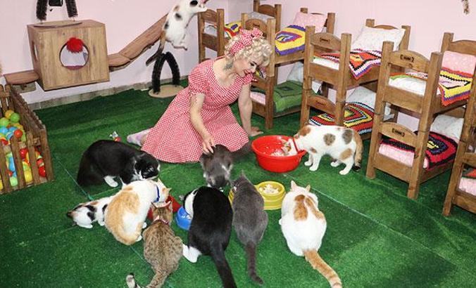 Mardinli Marilyn Monroe, kedi sığınma evi kurdu