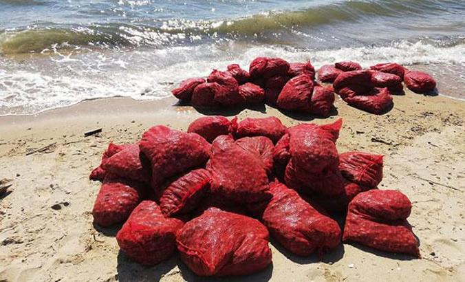 Edirne’de, 876 kilo kaçak midyeye 449 bin lira ceza