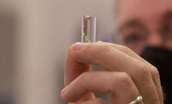 Pentagon'dan Kovid-19'u tespit eden mikroçip