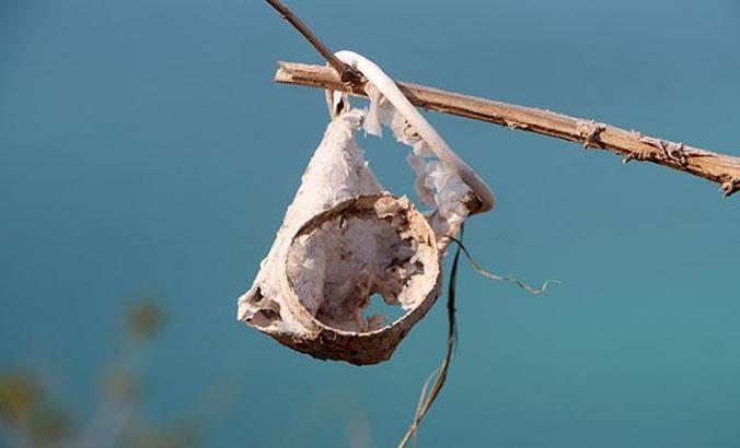 Plastik kirliliğine karşı 'Plastiksiz Doğu Akdeniz Platformu' kuruldu