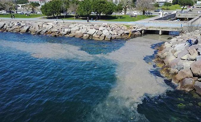 Kartal Sahili'nde ''deniz salyası'' endişesi