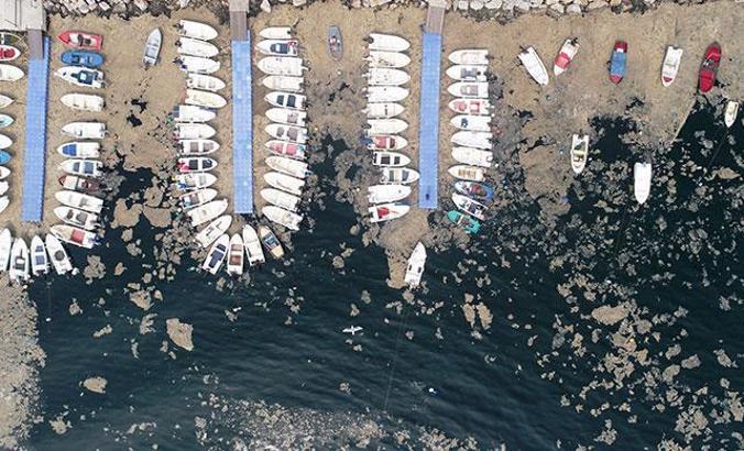 Gemlik sahili, plankton patlaması ile bembeyaz oldu