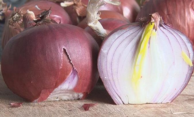 Koronavirüse 'kırmızı soğan' etkisi: Virüsün akciğer tutulumunu engelliyor