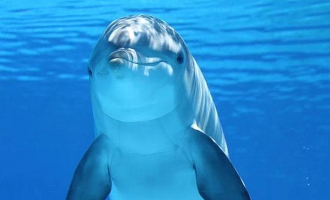 Uzmanlar açıkladı: 2020, 'Sessiz Okyanus Yılı' ilan edildi