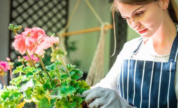 Evde kendi olanaklarıyla bitki yetiştirmek isteyenlere 5 öneri