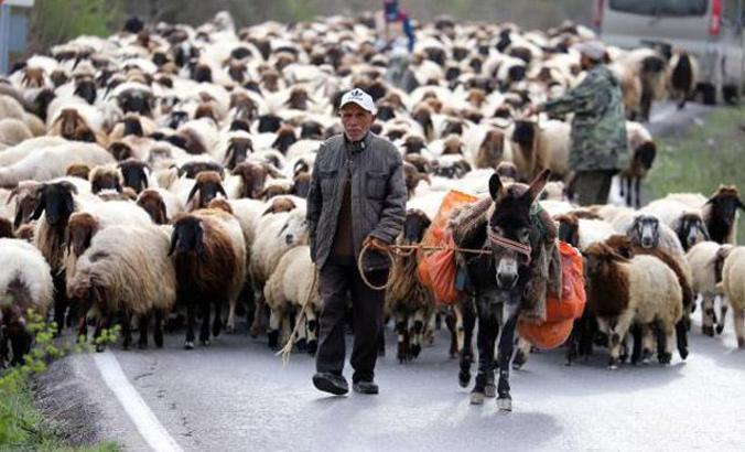 Baharın gelmesiyle Yörüklerin göçü başladı
