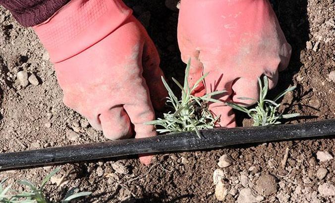 Burdur Gölü'nü 'susuz tarım' kurtaracak