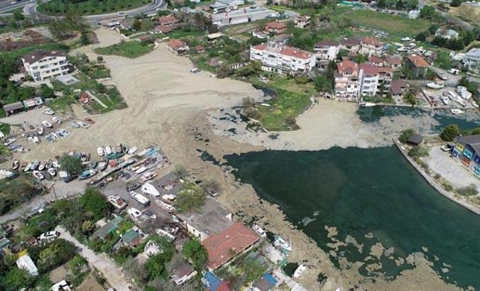 Menekşe Deresi deniz salyası ile kaplandı: 25 senedir ilk defa görüyorum