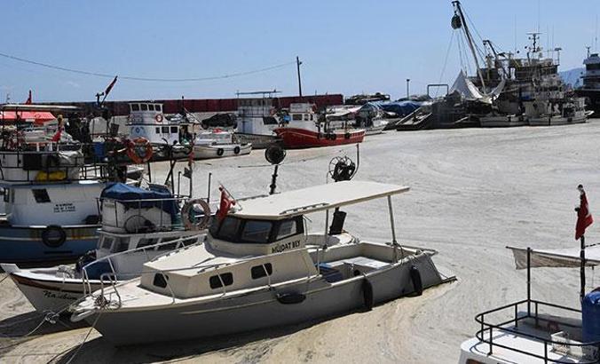 Tekirdağ'da deniz salyası nedeniyle balıkçılar denize açılamıyor