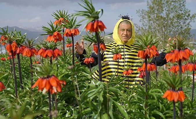 Türkücü Aydın Aydın, arı ölümlerine dikkat çekmek için arı kostümü giydi