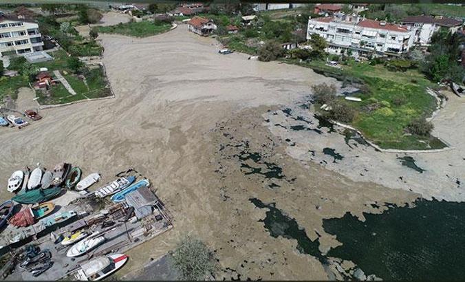 Marmara Denizi'nde salya araştırması... Dipte oranlar yüksek çıktı